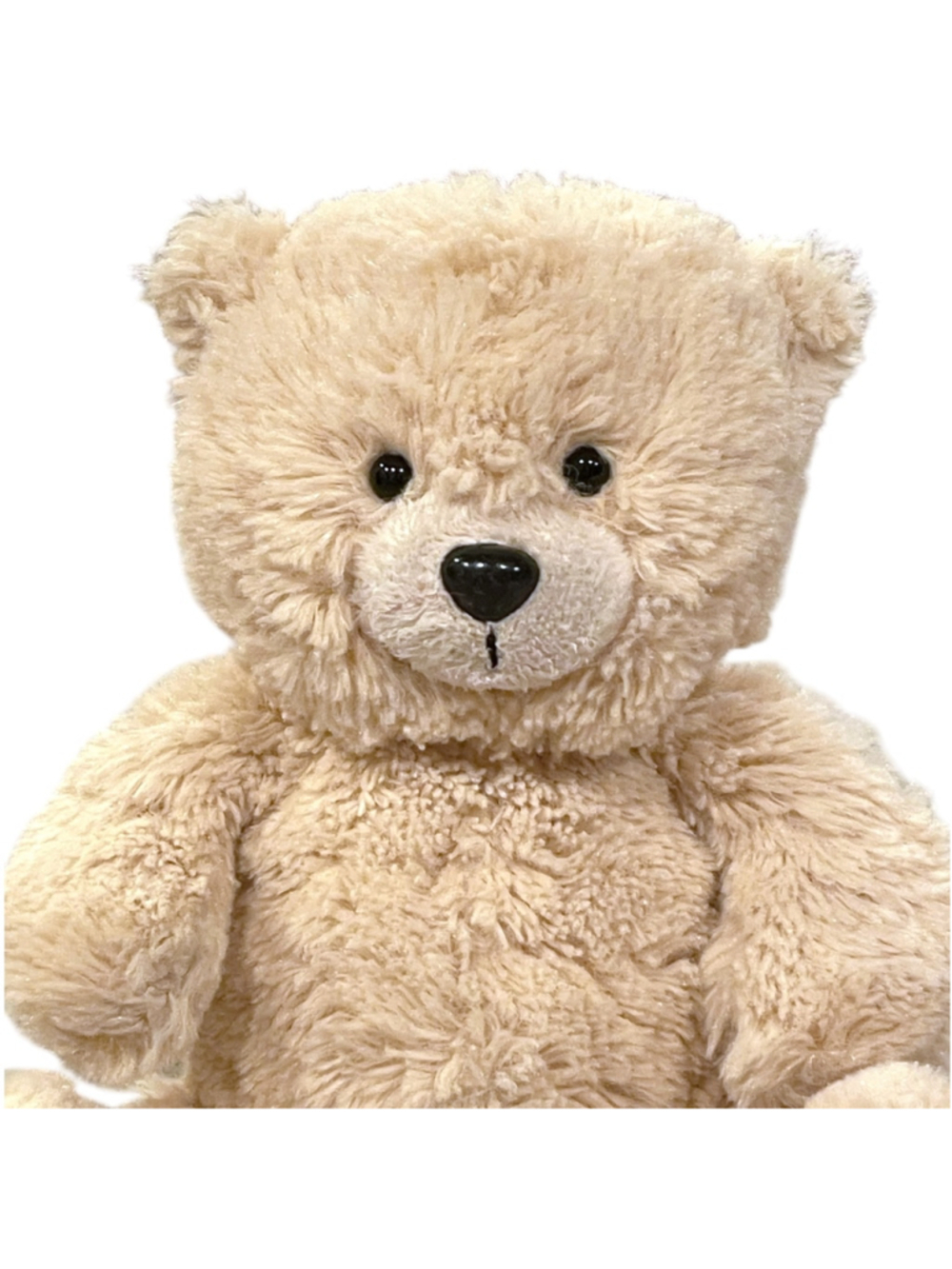 Ganz The Bear Sentiments Bear Plush Teddy Stuffed Animal H12796 Beige 9" - Picture 2 of 14
